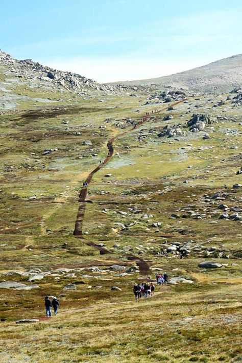 Check out "Climbing Mount Kosciuszko" in New South Wales Mount Kosciuszko Australia, Mount Kosciuszko, Seven Summits, Nature Photography Tips, Print Outs, Dream Places, Scenery Nature, Take A Hike, Travel Bug