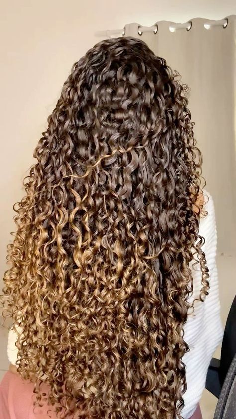 Curly Hair With Honey Highlights, Curls Ideas, Curly Cut, Highlights Balayage, Hair Dye Ideas, Beautiful Curls, Curly Hair Inspiration, Hair Summer, Dream Hair