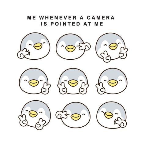 That’s me whenever a camera is pointed at me. My 9 favorite postures. Which posture do you usually have in front of a camera? 😀😀😀 #minisoaustralia #minisofun #minisolove #lifeforfunwithminiso #minisoau #minisocute Penguin From Miniso, Miniso Penguin, Peng Peng, O Love, Cute Penguins, Cute Animal Drawings, Penguins, Animal Drawings, The Past