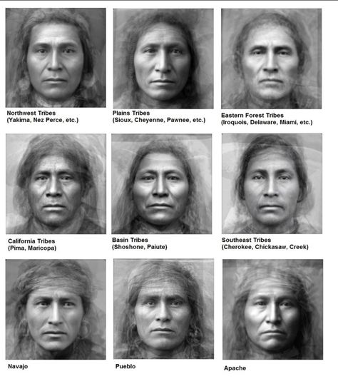 Typical Facial Features American Native Average Face, Native American Spirituality, American Quotes, American Indian History, Salem Witch Trials, Native American Wisdom, Native American Men, Native American Symbols, Native American Pictures