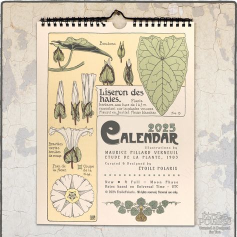 Check out our 2025 Botanical Calendar "Art Nouveau Plant Illustrations by Maurice P. Verneuil, 1903" made on durable semi-glossy paper. This Monthly Calendar designed by Étoile Polaris <3 * Sunday & Monday week start options * Jan.2025 to Dec.2025 -12 Months (I can change the starting month for you) * 8.5"x11" Letter Size for the USA & CA  * 21x29.7cm A4 Size for EU, the UK, AU & NZ * Personalized cover art* * Semi-glossy silk paper & Sturdy wire-binding (Colors may vary; silver, black, white... Class Calendar, Botanical Calendar, Letterpress Calendar, Moon Date, Plant Illustrations, Calendar Themes, Calendar Art, Bullet Journal Paper, Letter Writing Paper