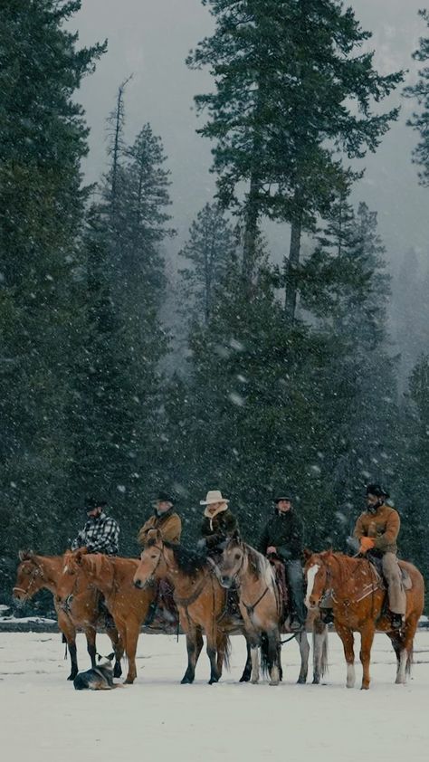 Winter Horse, Cowboy Pictures, European Aesthetic, Rodeo Life, Western Life, Horse Aesthetic, Cowboy Christmas, Photographie Inspo, Western Aesthetic