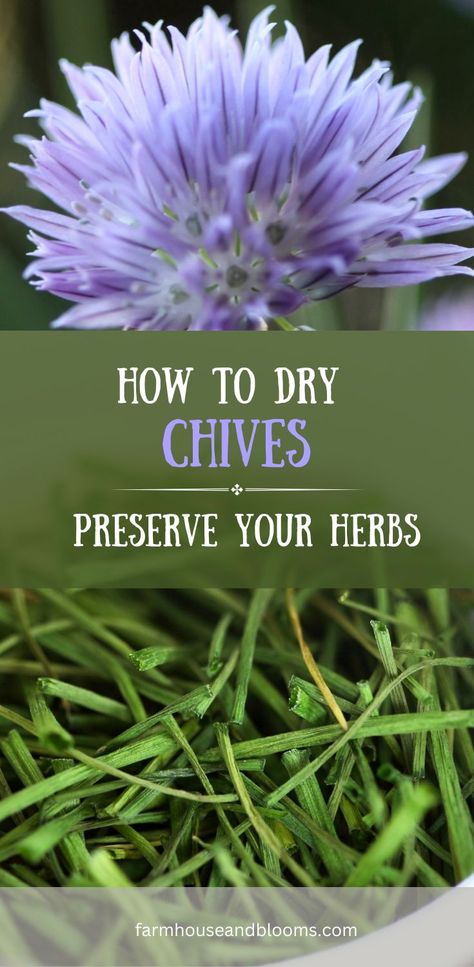 two pictures, one of a chive blossom, and one of dried chive pieces Drying Chives, Preserve Fresh Herbs, Chives Recipe, Chives Plant, Best Herbs To Grow, Freezing Herbs, Garden Companion Planting, Preserving Herbs, Diy Herbal Remedies