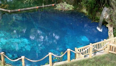 Blue Grotto Springs, Williston, Florida Williston Florida, Underwater Lighting, Blue Grotto, Dive Resort, Florida Springs, Great America, Scenic Road Trip, Scenic Roads, Florida Girl