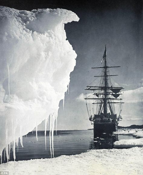 Edgar Evans: Explorer blamed for Captain Scott's ill-fated Antarctic mission was an unsung hero, say historians | Daily Mail Online Dark Mermaidcore, The Terror Amc, Marine Photography, Arctic Explorer, Photos From History, Ross Island, Royal Collection Trust, Terra Nova, The Terror