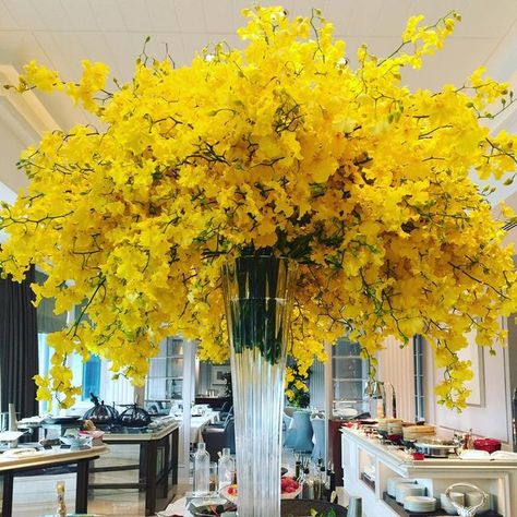 Sarah Wilkinson on Instagram: "Fantastic, electric florals to start the day with @iampetehunt 💛💛💛💛 #electric #orchid #display #yellow #explosion #hongkong #thepeninsula #breakfast #blooms #flowers #centerpiece #wedding #inspo #colour #nature #hk #asia #travel #wanderlust #love" Yellow Wisteria, Orchid Display, Yellow Dried Flower Arrangement, Yellow Floral Installation, Yellow Orchid Flower, Orchid Yellow, Centerpiece Wedding, Travel Wanderlust, Start The Day