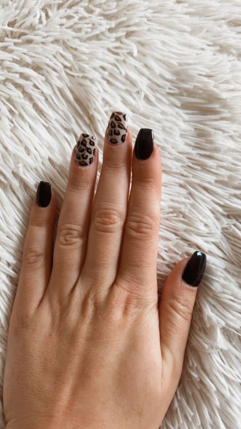 #dippowdernails #fallnails #cheetah Nail Designs Cheetah, Cheetah Print Nails, Cheetah Design, Cheetah Nail Designs, Western Nails, Cheetah Nails, Acrylic Nails Designs, Leopard Nails, Print Nails