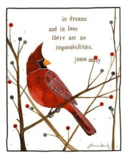 Quotes about Cardinal bird (24 quotes) Cardinal Sayings, Cardinal Meaning, Cardinal Quotes, Bird Cottage, Red Cardinals, Bird Quotes, Painting Canvases, Cardinal Bird, Quotes By Authors