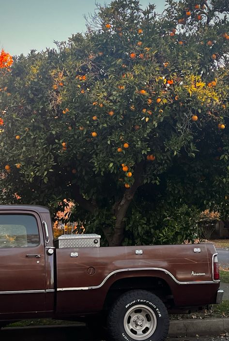 Old truck aesthetic Calm Country Aesthetic, 1970s Southern Aesthetic, California Western Aesthetic, Vintage Trucks Aesthetic, Boho Western Aesthetic Pictures, Retro Pictures Aesthetic, Old Pick Up Truck Aesthetic, Truck Asthetic Picture, Cozy Country Aesthetic