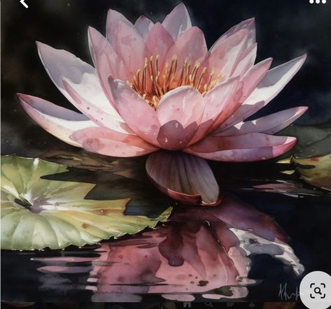 Water Lilies Art, Lotus Flower Painting, Floral Art Paintings, Water Lilies Painting, Lotus Flower Pictures, Lotus Flower Art, Lotus Painting, Lily Painting, Lotus Art