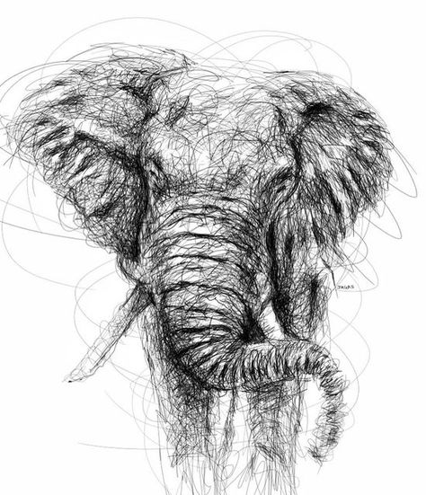 Animal Scribble Art, Fine Pen Art Drawing, Black Sketch Pen Art, Art Proportions, Pen Scribble Art, Scribbling Art, Black Pen Sketches, Scribble Drawings, Elephant Sketch