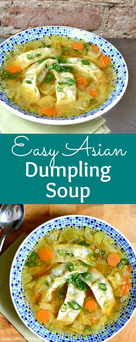 Asian Dumpling Soup, Chinese Dumpling Soup, Dumpling Soup Recipe, Soup Asian, Vegetarian Dumpling, Vegetarian Asian, Chinese Dumpling, Asian Soup Recipes, Dumpling Soup