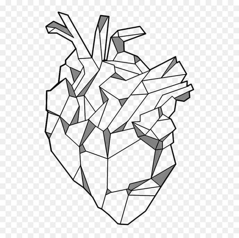 Tattoo Hd, Tattoo Png, Anatomical Heart Tattoo, Tattoo Background, Geometry Tattoo, Image Background, Heart Emoji, Heart Png, Anatomical Heart