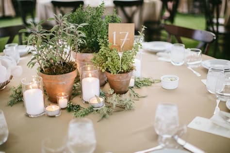 Wedding Houseplant Decor, Pathos Wedding Centerpieces, Terra Cotta Pots Centerpieces Table Decorations, Plant Nursery Wedding, Potted Plants As Centerpieces Wedding, Herb Garden Wedding, Potted Wedding Centerpieces, Herbal Wedding Decor, Herbs Centerpiece Wedding