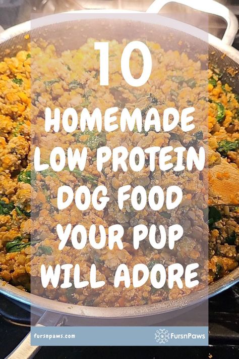 Kidney Friendly Dog Food Recipes / Homemade Dog Food For Kidney Problems / Low Protein Diet Kidney Recipes For Dogs Kidney Diet For Dogs, Food For Kidney, Healing Meals, Easy Homemade Dog Food, Low Protein Dog Food, Kidney Diet Recipes, Low Protein Diet, Kidney Recipes, Kidney Diet