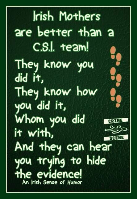 Irish mother >> Seriously though, they know. My mam,she knows what I did, about, one point five seconds after it's done. I'm not joking. Irish Proverbs, Irish Eyes Are Smiling, Irish Roots, Irish Funny, Irish Quotes, Irish Culture, Irish Eyes, Irish Celtic, Irish Heritage