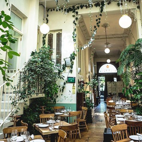 @home.studios on Instagram: “dinner with a view @restauranterosetta . . . . . #rosetta #cdmx #mexicocity #mexico #indoorplants #interiordesign” Mexico City Restaurant Design, Rosetta Mexico City, Golf Restaurant, Chip Wall, Valley Kitchen, Mexico City Restaurants, Mexico Trip, Wall Inspiration, Inspiration Wall