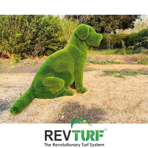 artificial grass animals sitting dog Dog Topiary, Animal Topiary, Giant Props, Sitting Dog, Storefront Design, Types Of Animals, Topiaries, Artificial Turf, Artificial Grass