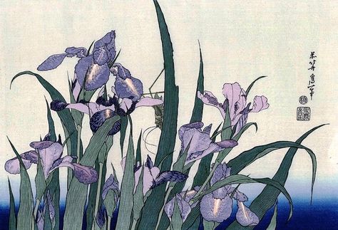 Katsushika Hokusai    Iris Flowers and Grasshopper Illustration Botanique, Katsushika Hokusai, Japon Illustration, Japanese Embroidery, Japanese Flowers, Art Japonais, Art Et Illustration, Japanese Woodblock Printing, Japanese Painting