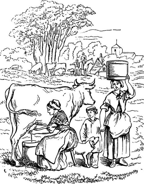 Milking Cow Activity Coloring Pages : Color Luna Milking Cow Activity, Milking A Cow, Milking Cow, Cow Milking, Tractor Coloring Pages, Cow Coloring Pages, Milk The Cow, Cow Drawing, Cow Colour