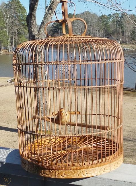 Bird Cage Vintage, Cage Decor, Bird Cage Decor, Vintage Bird Cage, Beautiful Cottages, Bird Cages, Vintage Wicker, The Cage, Vintage Birds