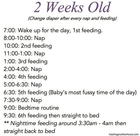 2 weeks old schedule Sleeping Schedule, Baby Schedule, Baby Advice, Baby Prep, 6 Month Baby, After Baby, Baby Time, Baby Makes, Everything Baby