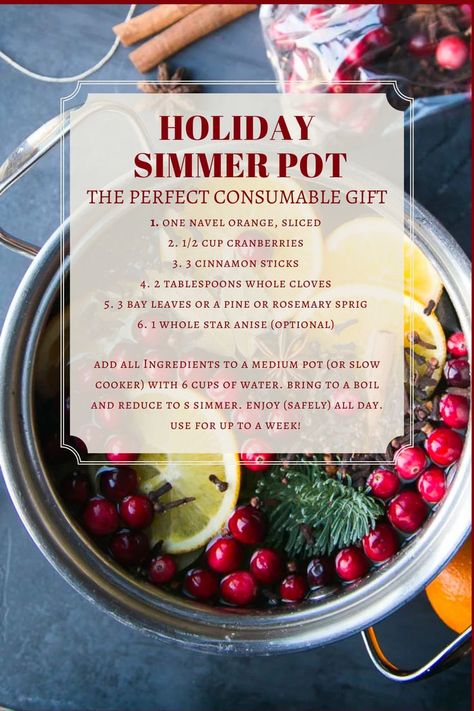 Homemade Potpourri, Simmer Pot Recipes, Stove Top Potpourri, Simmering Potpourri, Potpourri Recipes, Simmer Pot, Exterior Christmas, House Smell Good, Homemade Holiday