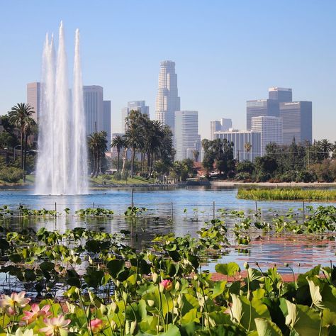 The 100 Most Photogenic Spots in L.A. - Los Angeles Magazine Echo Park Lake, Pedal Boats, Riverside Drive, California Love, California Dreamin', Echo Park, California Dreaming, West Lake, Oh The Places Youll Go