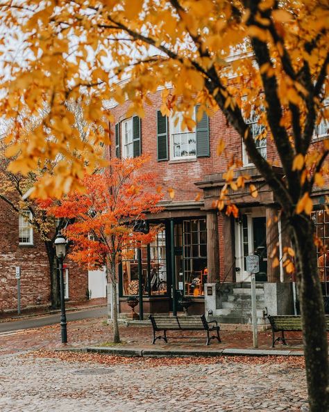 pintrest: @nessaliving instagram: vanessa_livingston Portret Feminin, Studera Motivation, Orange Leaves, Shotting Photo, Fall Background, Autumn Scenery, Fall Photoshoot, Fall Feels, Autumn Beauty