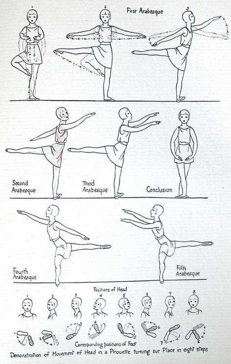 Illustration by Eileen Mayo | Illustration by Eileen Mayo in… | Flickr Arabesque Ballet, Ballet Steps, Ballet Terms, Ballet Basics, Ballet Stretches, Ballet Positions, Dance Stretches, Ballet Lessons, The Splits