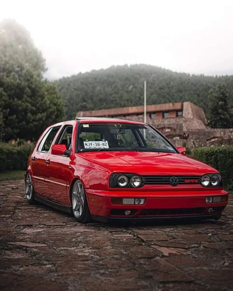 Golf A3, Vw Golf Mk4, Bbs Wheels, Golf Mk3, Golf Mk4, Golf Gti, Vw Golf, Palm Tree, Muscle Cars