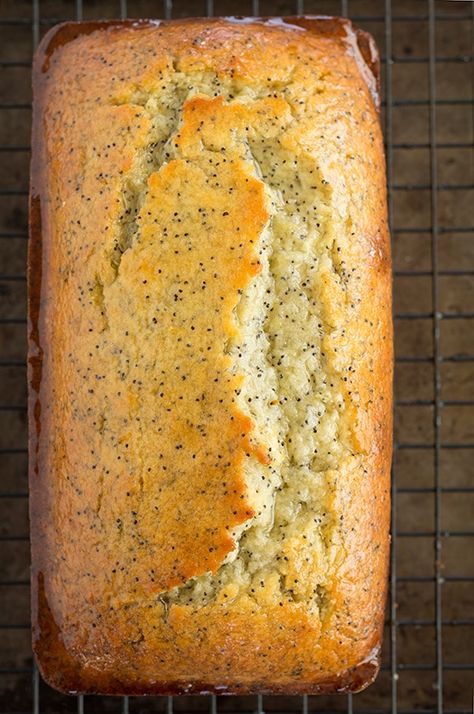 Lemon Poppy Seed Bread - Cooking Classy Lemon Poppy Seed Bread, Poppy Seed Bread, Lemon Poppyseed Bread, A Loaf Of Bread, Seed Bread, Lemon Poppy Seed, Lemon Poppy, Loaf Of Bread, Lemon Poppyseed