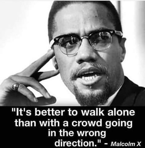 truth Malcolm X Quotes, Nation Of Islam, Babylon The Great, Human Rights Activists, Civil Rights Leaders, By Any Means Necessary, Black Knowledge, Malcolm X, Civil Rights Movement