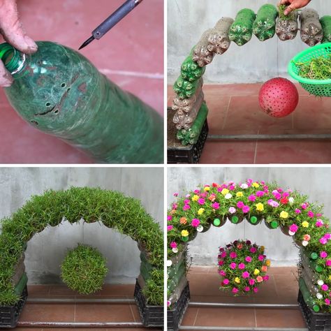 Flowers in Rainbow Shape to Decorate Your Garden | garden, flower, rainbow | Flowers in Rainbow Shape to Decorate Your Garden | By DIY Balcony Garden Diy Balcony Garden, Recycled Garden Art, Flower Rainbow, Diy Balcony, نباتات منزلية, Balcony Plants, Recycled Garden, Garden Decor Projects, Flower Garden Design