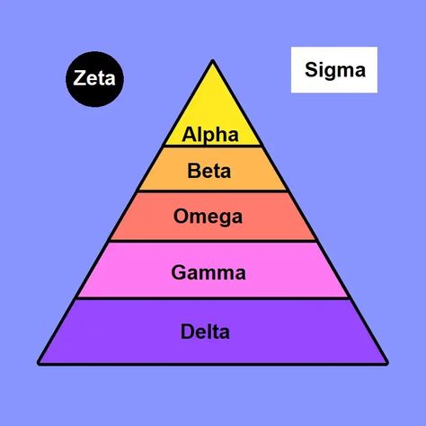 The original theory of alpha males came from the study of captive animals and used most popularly to describe wolf packs and chimpanzee hierarchy. Wolf Packs, Social Hierarchy, Alpha Males, Habits Of Mind, Sigma Male, Good Employee, Animal Study, Close Relationship, Animal Groups