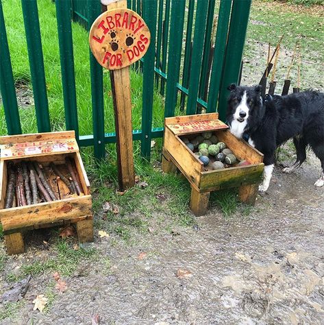 Dog Play Areas In Backyard, Outdoor Dog Park Ideas, Outdoor Dog Oasis, Dog Sensory Play, Dog Park Ideas Backyards, Doggy Playground Backyards, Sniffspot Ideas, Diy Dog Park, Dog Playground Diy