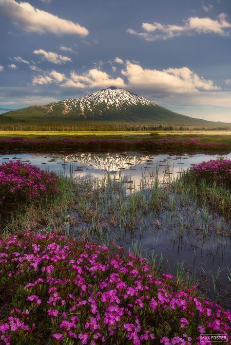 mount bachelor and wildflowers in oregon Sleeping Giant, Outdoor Photographer, National Photography, Nature Images, Beautiful Nature Pictures, Photographic Art, Middle Earth, Landscape Photographers, Nature Pictures