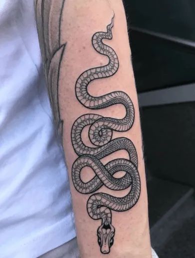 Snake Tattoo Designs & Meanings [2020 Guide] - Tattoo Stylist Snake Henna, Snake Tattoo Meaning, Snake Tattoo Ideas, Traditional Snake Tattoo, Small Snake Tattoo, Daisy Tattoo Designs, Japanese Snake Tattoo, Serpent Tattoo, The Best Tattoos