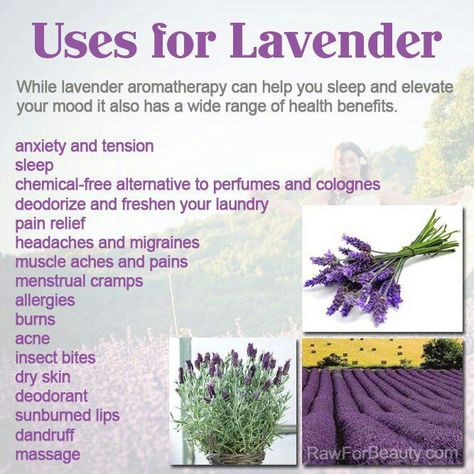 Lavender health benefits Lavender Uses, Lavender Benefits, Lavender Aromatherapy, Lavender Plant, Healing Herbs, E Card, Lavender Flowers, Lavender Oil, Alternative Medicine