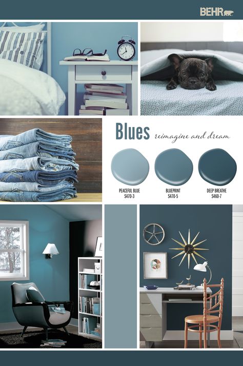 These livable blues are soothing and provide a sense of coziness. They are all very versatile and easy to imagine in any room. Reimage and dream a new mood or feeling in your home with Peaceful Blue S470-3, Blueprint S470-5, and Deep Breath S460-7.   Colorfully yours, Larayne   More Articles You Might LikeColor of … Kids Bedroom Remodel, Color Of The Month, Small Bedroom Remodel, Blue Paint Colors, Bedroom Remodel, Diy Remodel, Bedroom Paint, Chic Bedroom, Simple Bedroom