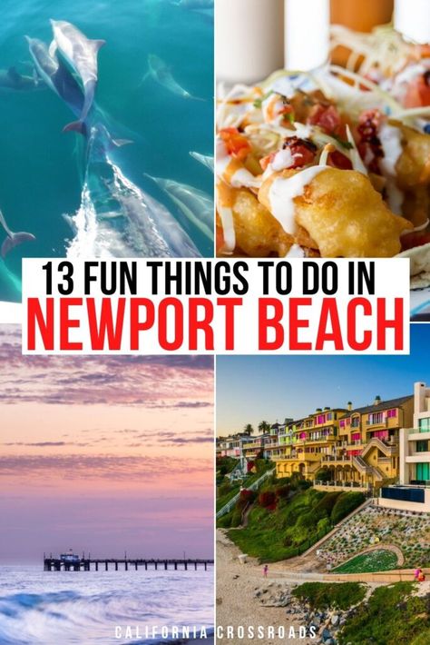 Text that reads '13 fun things to do in Newport Beach.' 4 photos. First is of a pack of dolphins playing in blue water. Second is of a battered fried fish taco. Third photo is of a pink and lavender sunset at the ocean with a pier in the distance. Fourth photo is colorful oceanfront apartments overlooking a beach in Newport Beach. What To Do In Newport Beach California, Balboa Beach California, Things To Do In Newport Beach California, Balboa Island Newport Beach, California Beach Towns, Newport Beach Restaurants, Beach Itinerary, Balboa Beach, Newport Beach Pier