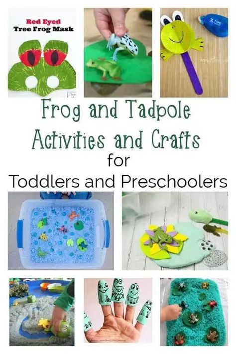 Hopping mad frog-themed crafts and activities for toddlers and preschoolers ideal for spring based learning and fun in and out of the classroom. Frog Activities, Spring Bucket List, Crafts For Toddlers, Red Eyed Tree Frog, Frog Theme, Frog Crafts, Pond Life, Animal Crafts For Kids, Toddlers And Preschoolers