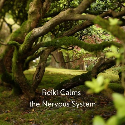 #reiki #reikirays #energy #vibrations #freshvibes #goodvibes #healing #reikihealing #nervoussystem Evening Meditation, Reiki Therapy, Reiki Symbols, Energy Healing Spirituality, The Nervous System, Spiritual Practices, Calm Down, Health And Wellbeing, Nervous System