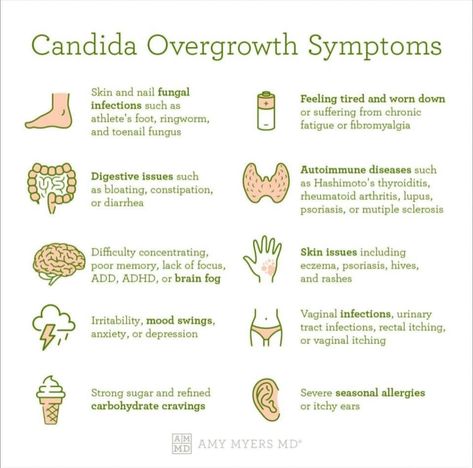 Did you know that some of the most common symptoms we experience every day—like bloating, brain fog, mood swings, and even skin issues—could be linked to Candida overgrowth? 🌱 Candida is a type of yeast in our bodies, but when it grows out of control, it can cause a surprising range of symptoms! If you’re dealing with fatigue, digestive issues, or sugar cravings, it might be time to look at your gut health!💡 Comment ‘Tell me more!’ to learn how you can start healing from within! #GutHeal... Candida Overgrowth Symptoms, Candida Symptoms, Itchy Ears, Candida Overgrowth, Tell Me More, Digestive Issues, Seasonal Allergies, Gut Healing, Sugar Cravings