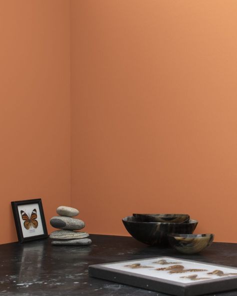 Equal amounts of orange and brown come together in this classic shade of terracotta. Benjamin Moore Sienna Clay, Sienna Clay Benjamin Moore, Library Playroom, Cottage Mood Board, Small Living Room Dining Room, Mediterranean Boho, Tupelo Tree, Paint Color Swatches, Paint Gallery