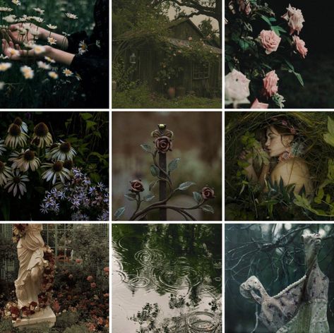 Fairy Aesthetic Green, Gothic Moodboard, Fantasy Moodboard, Dark Fairy Aesthetic, Cottagecore Moodboard, Gothic Cottagecore, Fae Aesthetic, Dark Naturalism, Adopt Idea