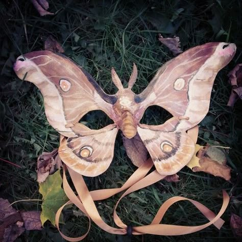 Leather Moth Mask by Alexis Burbank Victorian Masquerade Mask, Leather Masquerade Mask, Moth Masquerade Mask, Masquerade Mask Animal, Custom Mask Ideas, Animal Masks Masquerade, Painted Masquerade Mask, Masquerade Mask Ideas, Bug Mask