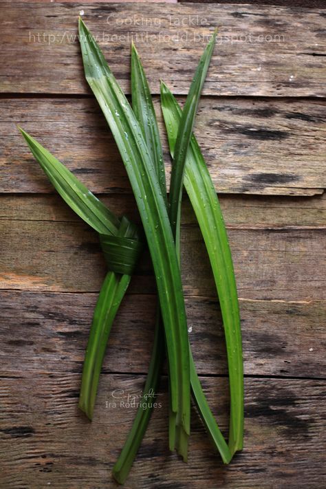 pandan leaves / daun pandan Asian Pantry, Pandan Leaf, Tat Inspiration, Pandan Leaves, Daun Pandan, Spice Garden, Delicious Sweets, Indonesian Cuisine, Flower Guide