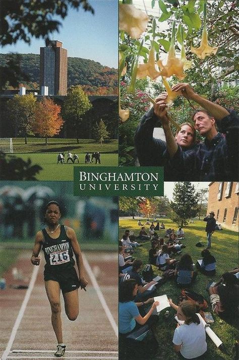 Binghamton NY University 1997 postcard Binghamton University, Hospital Marketing, University, Marketing