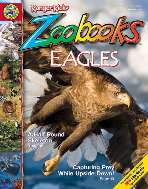 Magazines - Ranger Rick | Zoobooks Ranger Rick Magazine, Ranger Rick, Lego Club, National Geographic Kids, Teacher Created Resources, Gifts For Children, Humpty Dumpty, Magazines For Kids, Kids Discover